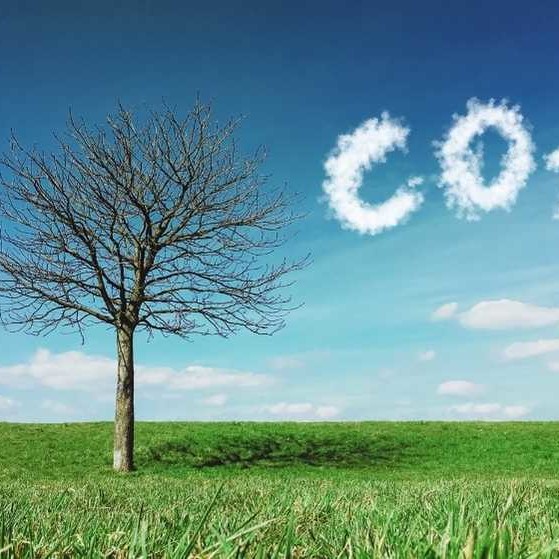 Reducing indirect carbon emission using IoT