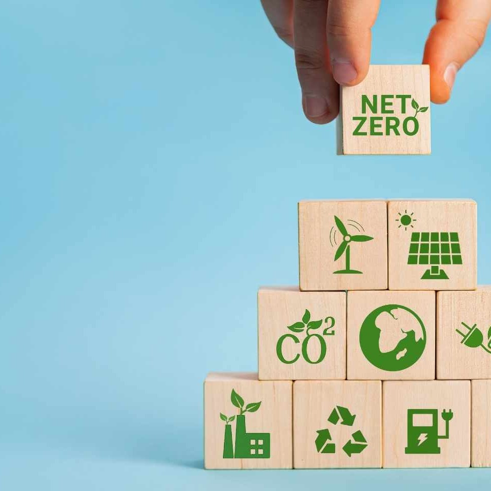 UAE Net Zero Goals